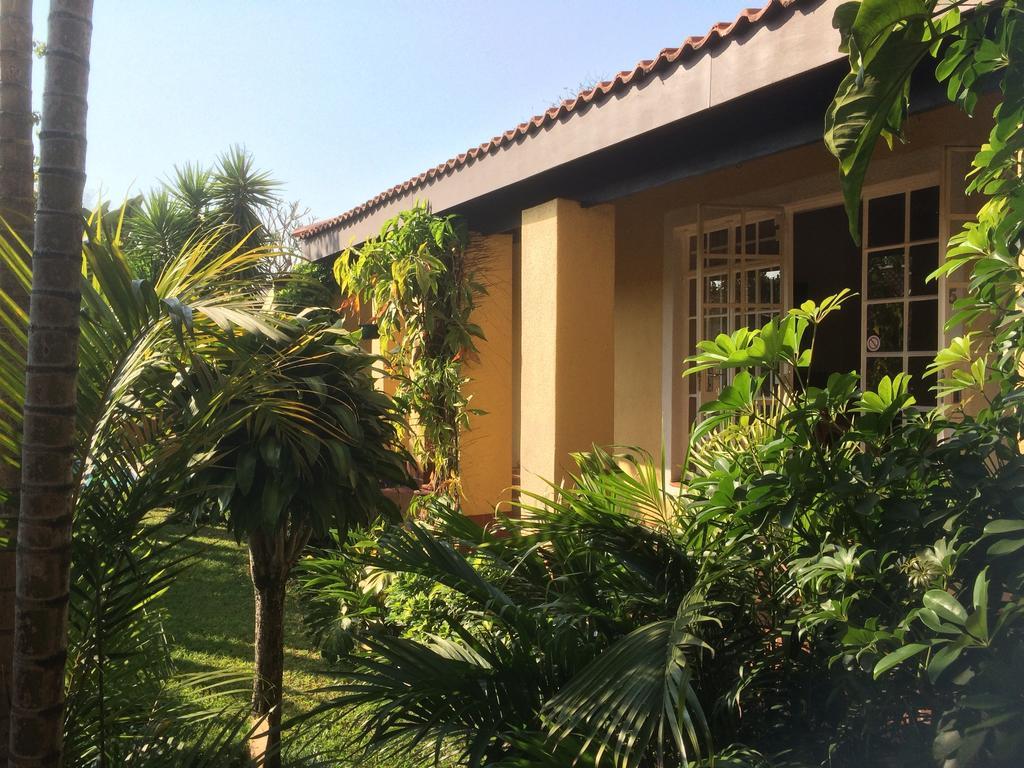 Auberge Guest Lodge نيلسبروت الغرفة الصورة